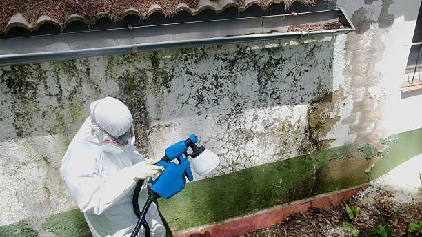 Top rated local Mold Remediation specialists in Trevorton, PA
